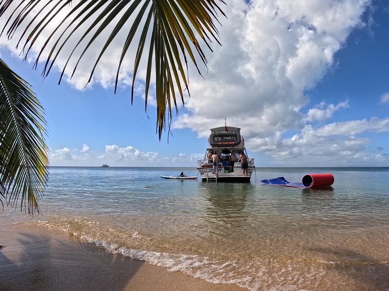 A boat anchored off a palm-shaded beach, seen from the sand