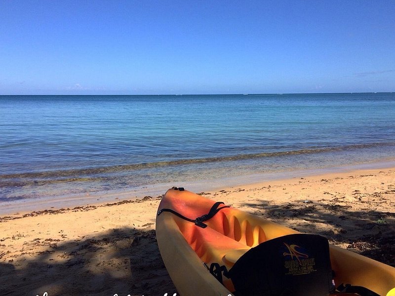 A kayak pulled up at the water's edge on a sand beach