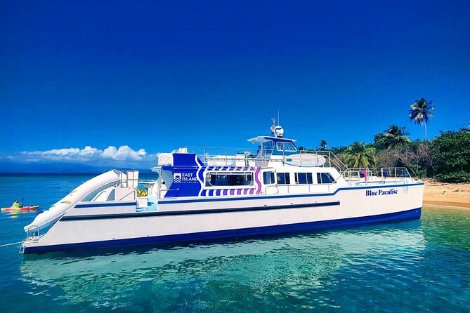 A white power catamaran anchored off a beach lined with palm trees