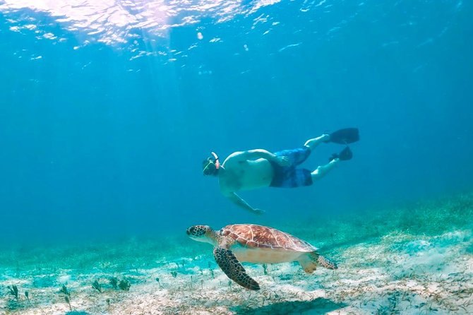 A snorkeler swimming above a sea turtle over a sandy bottom