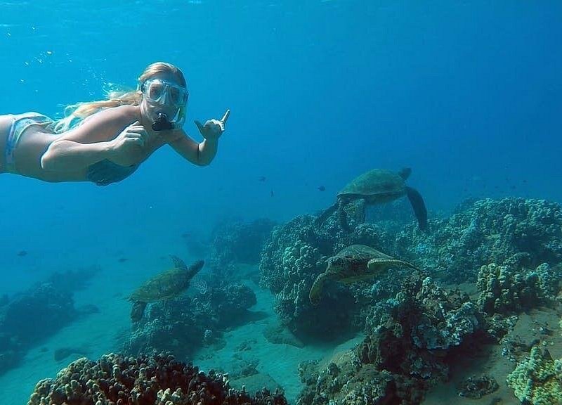 A snorkeler following a sea turtle over a reef