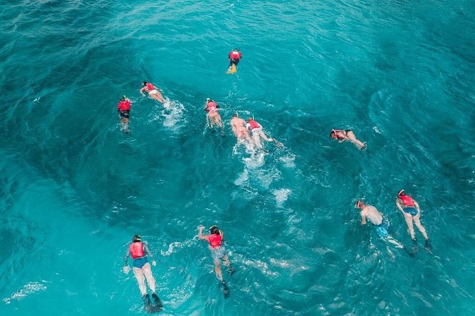 Snorkelers in red vests spread across blue water, seen from above